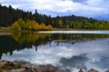 Early autumn. Yellow trees and sky water reflection Royalty Free Stock Photo