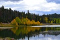 Early autumn yellow trees water reflection _3. Royalty Free Stock Photo