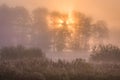 Sunrise in Kampinos Forest