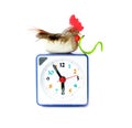 Early bird catches gets the worm proverb Royalty Free Stock Photo