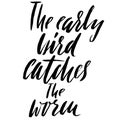 The early bird catches the worm. Hand drawn lettering proverb. Vector typography design. Handwritten inscription. Royalty Free Stock Photo