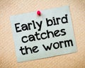 Early bird catches the worm Royalty Free Stock Photo