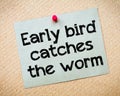 Early bird catches the worm