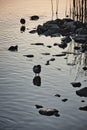 Early birdies in a lake during the sunrise in Stockholm Sweden