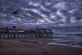 Early dawn morning on the ocean. An old wooden pier with houses and a seagull