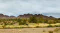 Early Evening in Arizona desert cactus Tucson Royalty Free Stock Photo