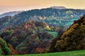 Early evening colorful landscape with forest in late autumn at sunset. Royalty Free Stock Photo