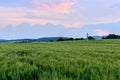 Summer landscape with grain and cross of Jesus Christ at dusk Royalty Free Stock Photo