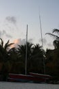 Early evening on the shores of the Indian Ocean, red boats with masts against the backdrop of palm trees and a blue sky with Royalty Free Stock Photo