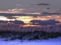 Early evening summer sunset at Pensacola beach, Florida. Royalty Free Stock Photo