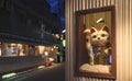 Maneki-neko in the window