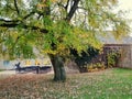 Early fall, Aarhus University - Denmark