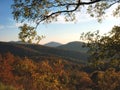 Early Fall Morning, Shenandoah