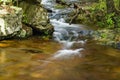 Mountain Trout Stream, Blue Ridge Mountains of Virginia, USA Royalty Free Stock Photo