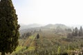 Early foggy morning. Beautiful spring landscape in Tuscany, Italy, Europe Royalty Free Stock Photo