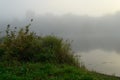 Early foggy morning on the river bank. Coastal bushes, calm water surface Royalty Free Stock Photo