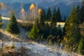 Early frosty morning in the mountains. the first frost on the grass and the last yellow leaves Royalty Free Stock Photo