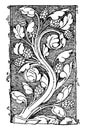 Early Gothic Ornament Vine was a design found in Notre Dame, vintage engraving