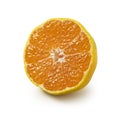 Early Japanese mandarin oranges on a white background Royalty Free Stock Photo