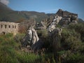 Beautiful view over Stari Bar meaning Old Bar, is a small town in Montenegro. I