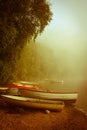 Early misty morning down the lake Royalty Free Stock Photo