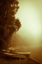 Early misty morning down the lake Royalty Free Stock Photo