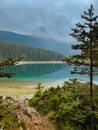 Early Misty Morning over Mountain Lake and Forest Royalty Free Stock Photo