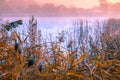 Early misty morning. Sunrise over the lake Royalty Free Stock Photo