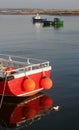 Early Morning, Amble Harbour, Red boat Royalty Free Stock Photo