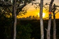 Early Morning Austin Skyline Nature Trees Greenbelt