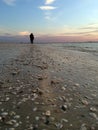 Early morning beachcombing at Sanibel Island, Florida Royalty Free Stock Photo