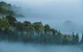 Early morning beautiful Chianti region, Tuscany hills misty landscape view. Spruce and cypress trees  sinking in foggy clouds on Royalty Free Stock Photo
