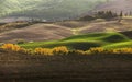 Early morning beautiful Tuscany hills  landscape view with plowed and green grass covered wavy fields. Sunrise light covering the Royalty Free Stock Photo