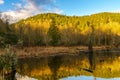 Early Morning Beaver Pond