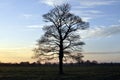 Early morning Beverley westwood east Yorkshire England Royalty Free Stock Photo