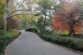 Early morning in Central Park