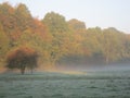 Early morning Cheshire Royalty Free Stock Photo