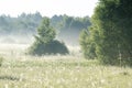 Early morning countryside landscape mist Royalty Free Stock Photo