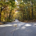 Early Morning Drive through an Autumn Wonderland Royalty Free Stock Photo