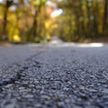 Early Morning Drive through an Autumn Wonderland Royalty Free Stock Photo