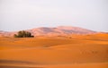 Early morning at the dune Erg Chebbi in the desert of Morocco