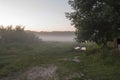 Early morning in the field with autumn fog and drops of water in the air. Tints of brown. Nothing could be seeing far away. Beauti Royalty Free Stock Photo