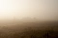 Early morning in the field with autumn fog and drops of water in the air. Tints of brown. Nothing could be seeing far away. Beauti Royalty Free Stock Photo