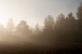Early morning in the field with autumn fog and drops of water in the air. Tints of brown. Nothing could be seeing far away. Beauti Royalty Free Stock Photo