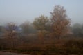 Early morning in the field with autumn fog and drops of water in the air. Tints of brown. Nothing could be seeing far away. Beauti Royalty Free Stock Photo