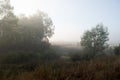 Early morning in the field with autumn fog and drops of water in the air. Tints of brown. Nothing could be seeing far away. Beauti Royalty Free Stock Photo