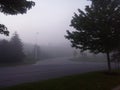 Early morning fog