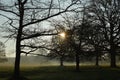 Early Morning fog in the English countryside. Royalty Free Stock Photo