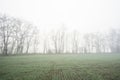 Early morning fog in fall in the field with tress Royalty Free Stock Photo