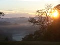 Early morning fog on the golf course